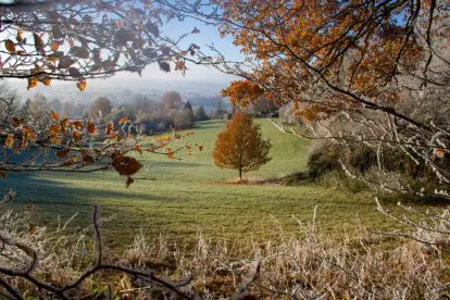 Wandelverhalen | Herfst ontmoet winter in Zuid-Limburg
