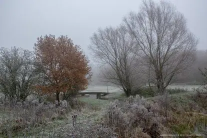 Wandelen door een mysterieuze mist over het Gelderse land