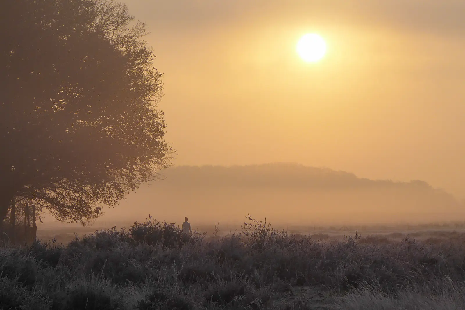 Een prachtige winterwandeling op het Kreelsepad bij Ede
