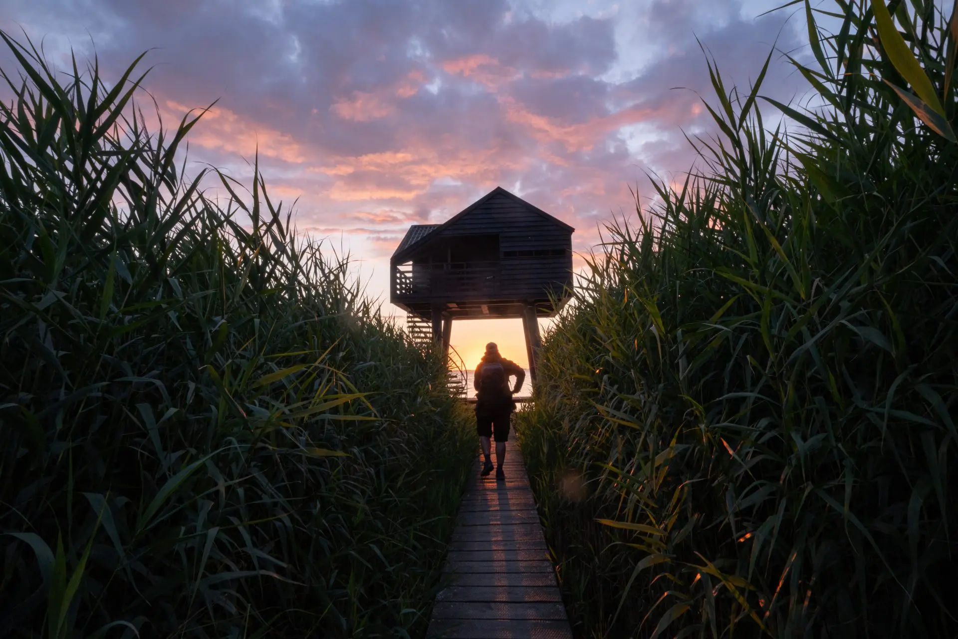 Negen dingen die je gedaan moet hebben in Nationaal Park Waddenzee
