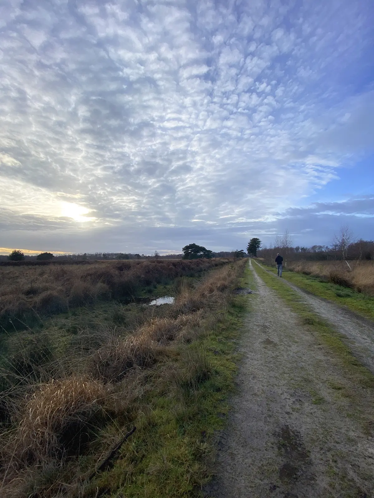 Nationaal Park De Groote Peel