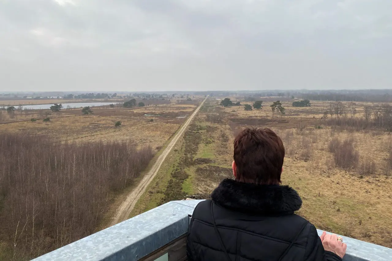 Uitzicht vanaf 22 meter hoog