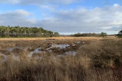 Deze wandeling is uitgeroepen tot Wandelroute van het jaar 2023