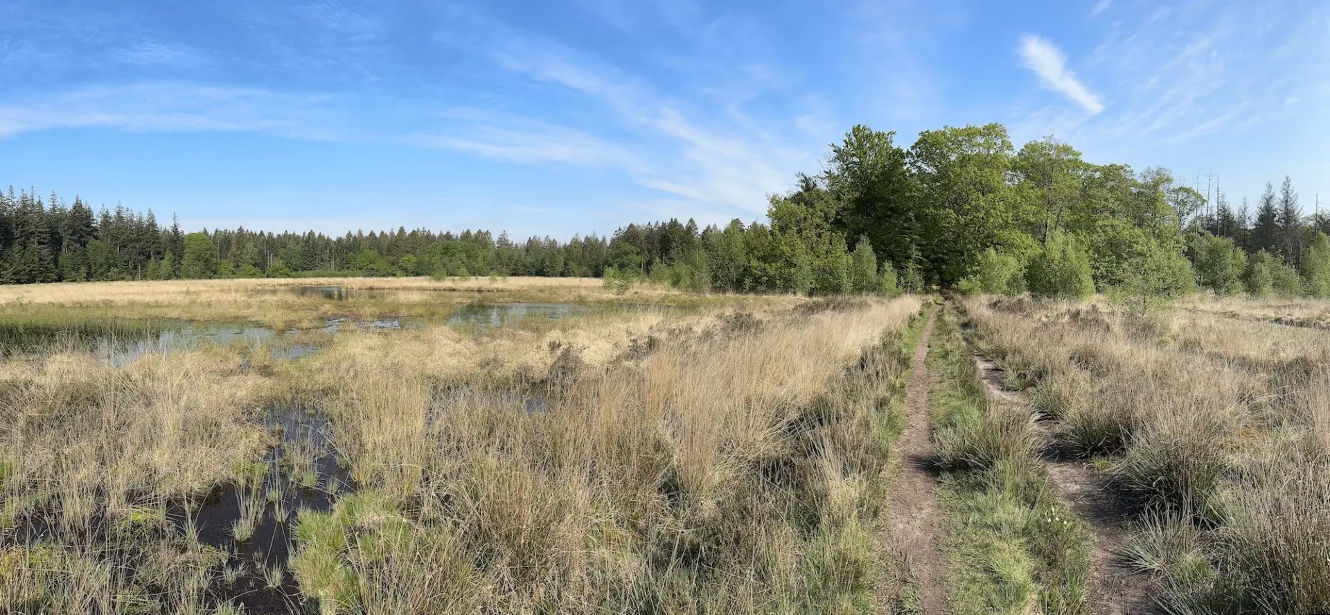 Veenpluisroute Schoonloo Groll0