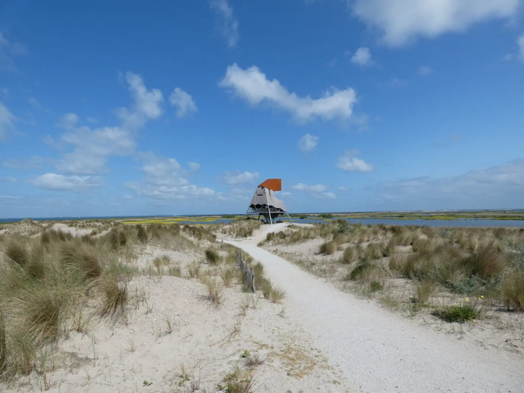 Verslag van een bijzondere dagtrip naar Marker Wadden