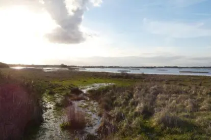 Fotoverslag Mariëndal. Van bollen terug naar nollen.