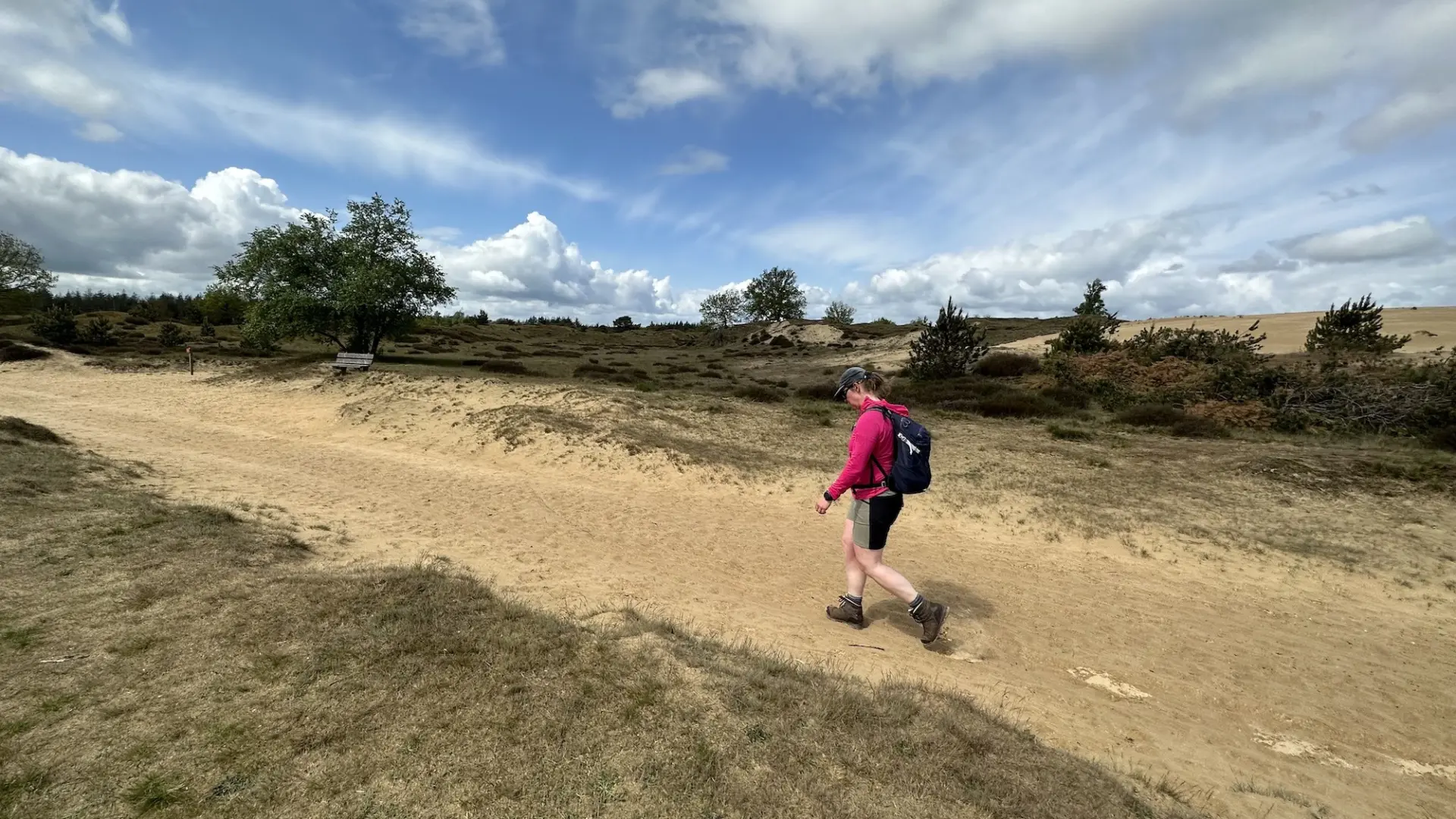 Aekingerzand Drents Friese Wold Drenthe