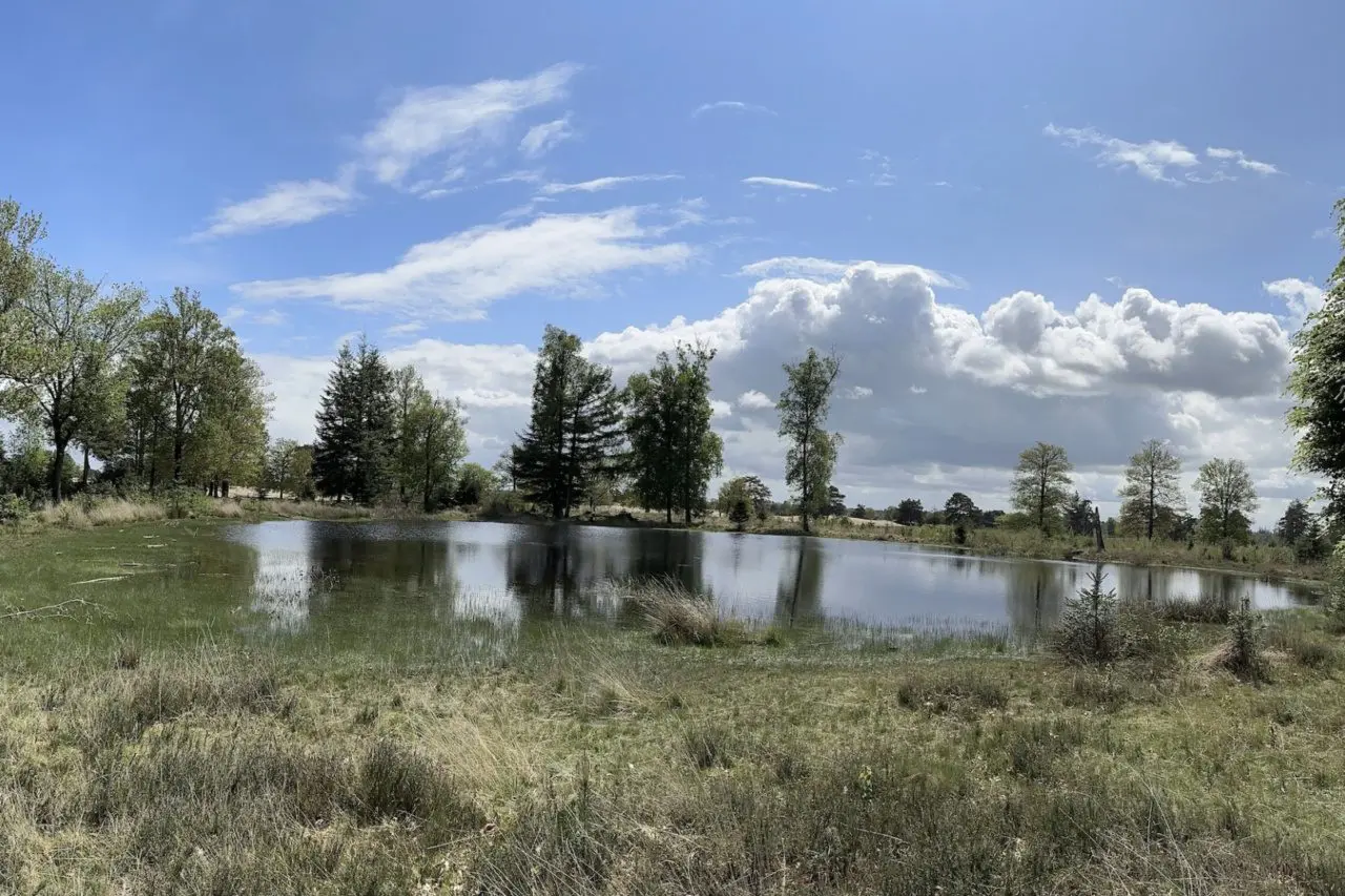 Drents Friese Wold Drenthe