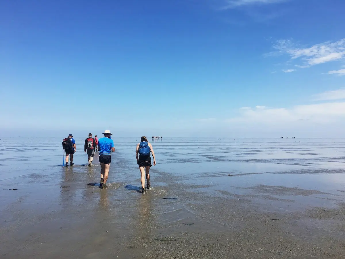 Reisverslag | Een spannende verkenning van de Groningse wildernis
