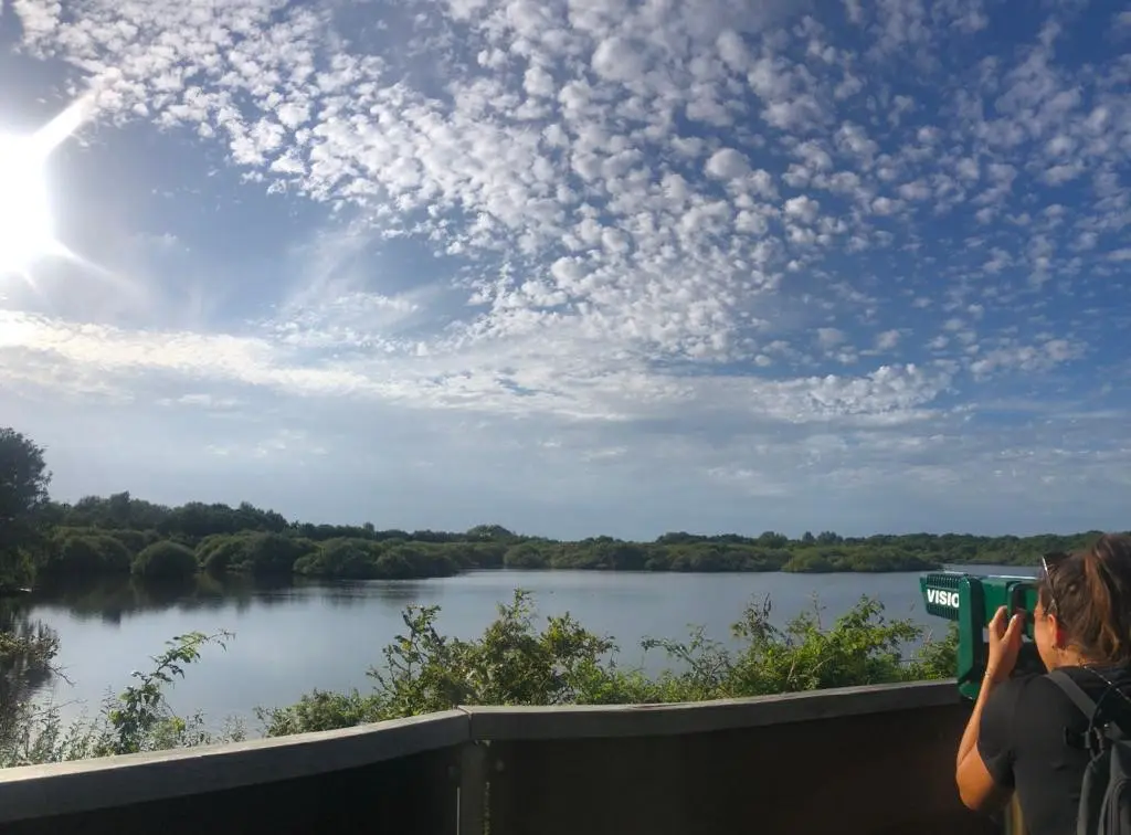 Fietsen in Nederland | IVN Trektocht Haringvliet