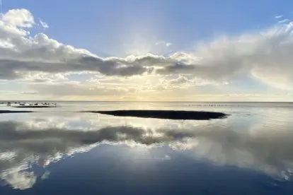 Ga in september mee met eilandkenner Anita naar Terschelling