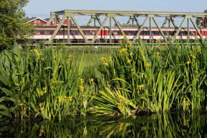 Nieuw! Directe nachttrein naar het hart van Nationaal Park Sächsische Schweiz in Oost-Duitsland