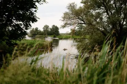 Te voet door de rijke natuur van de Brabantse Biesbosch.