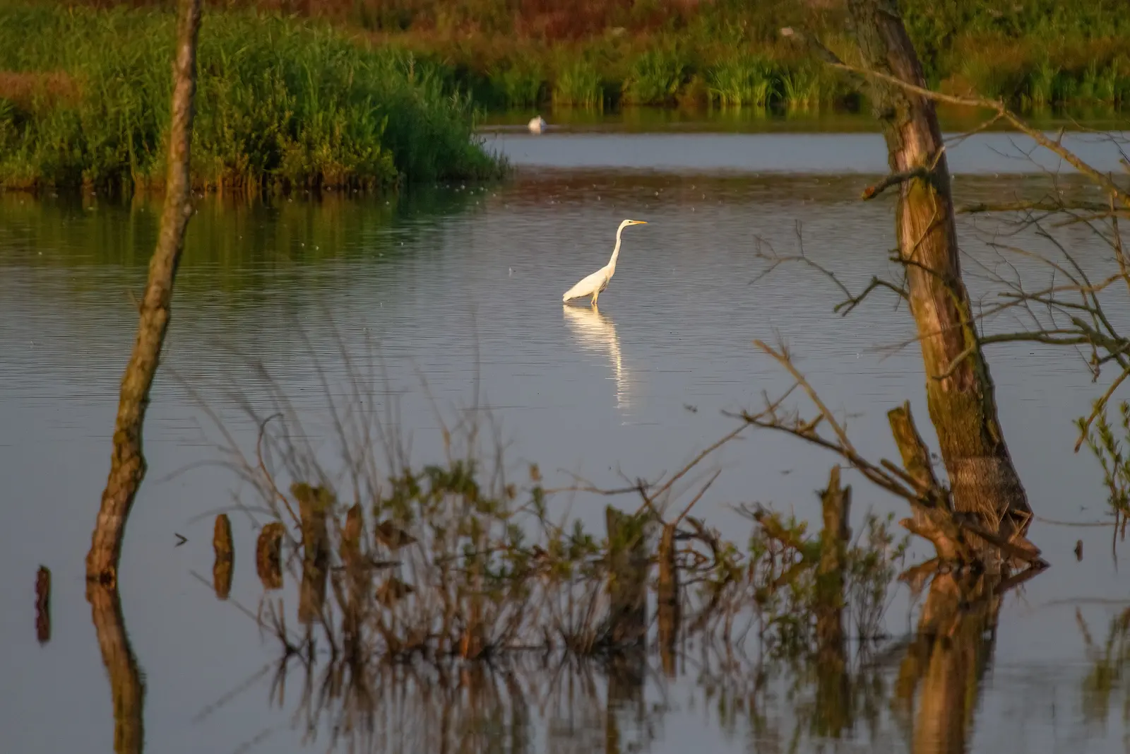 Tusschenwater