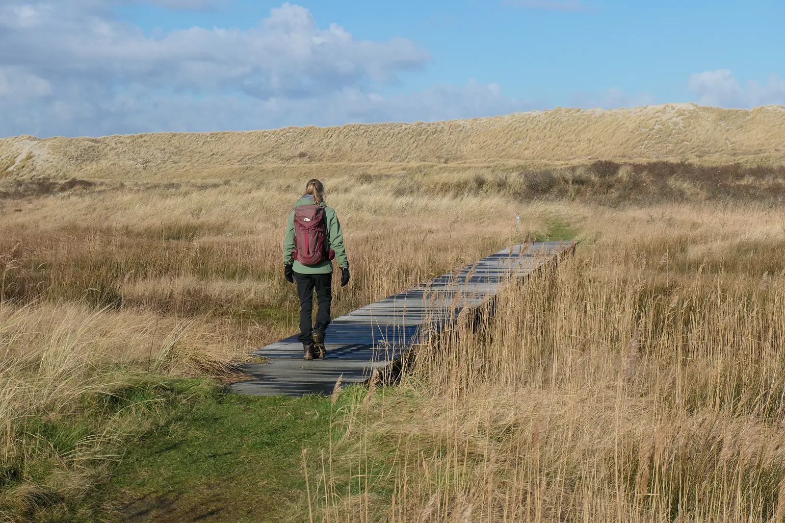 Ameland