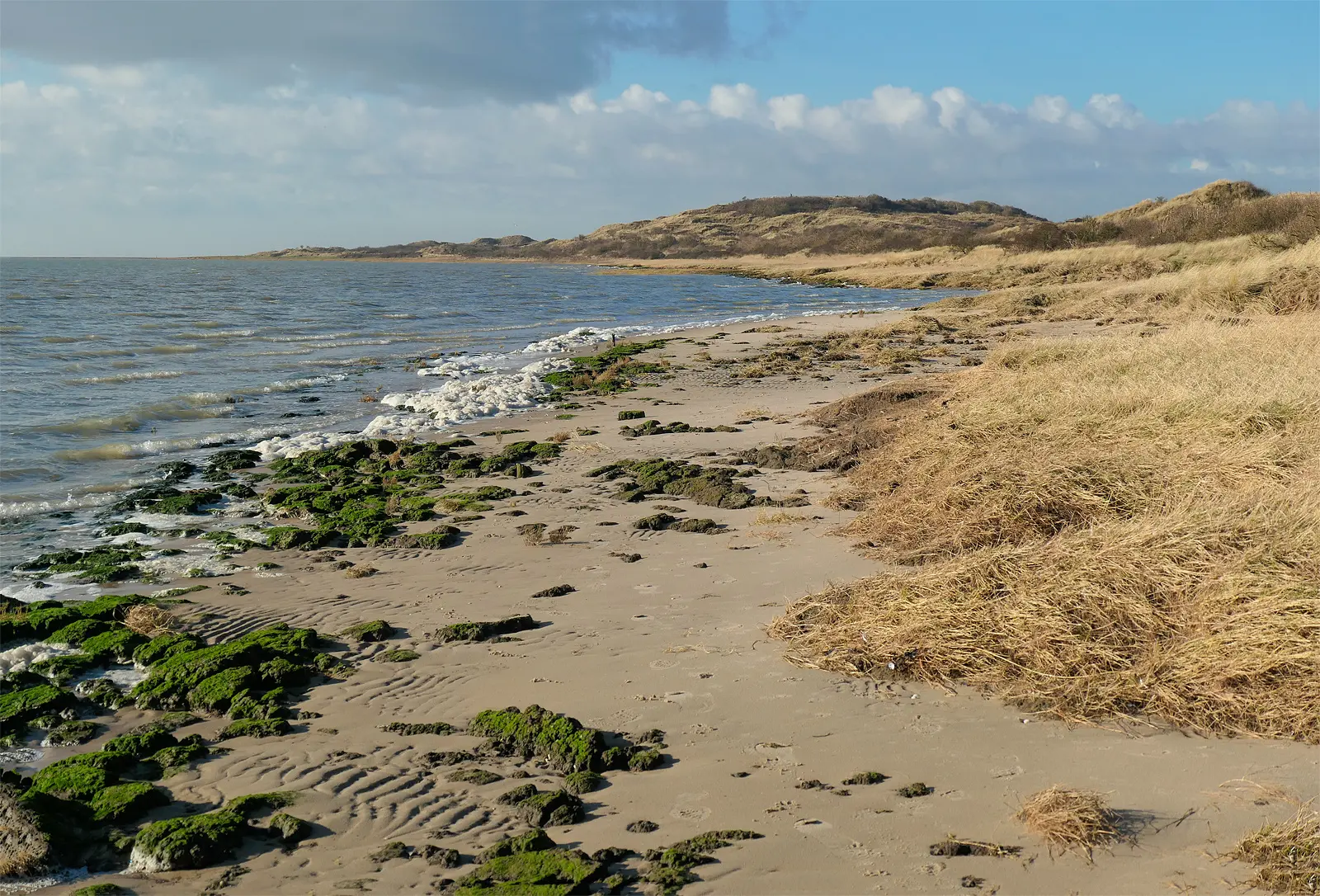 Ameland