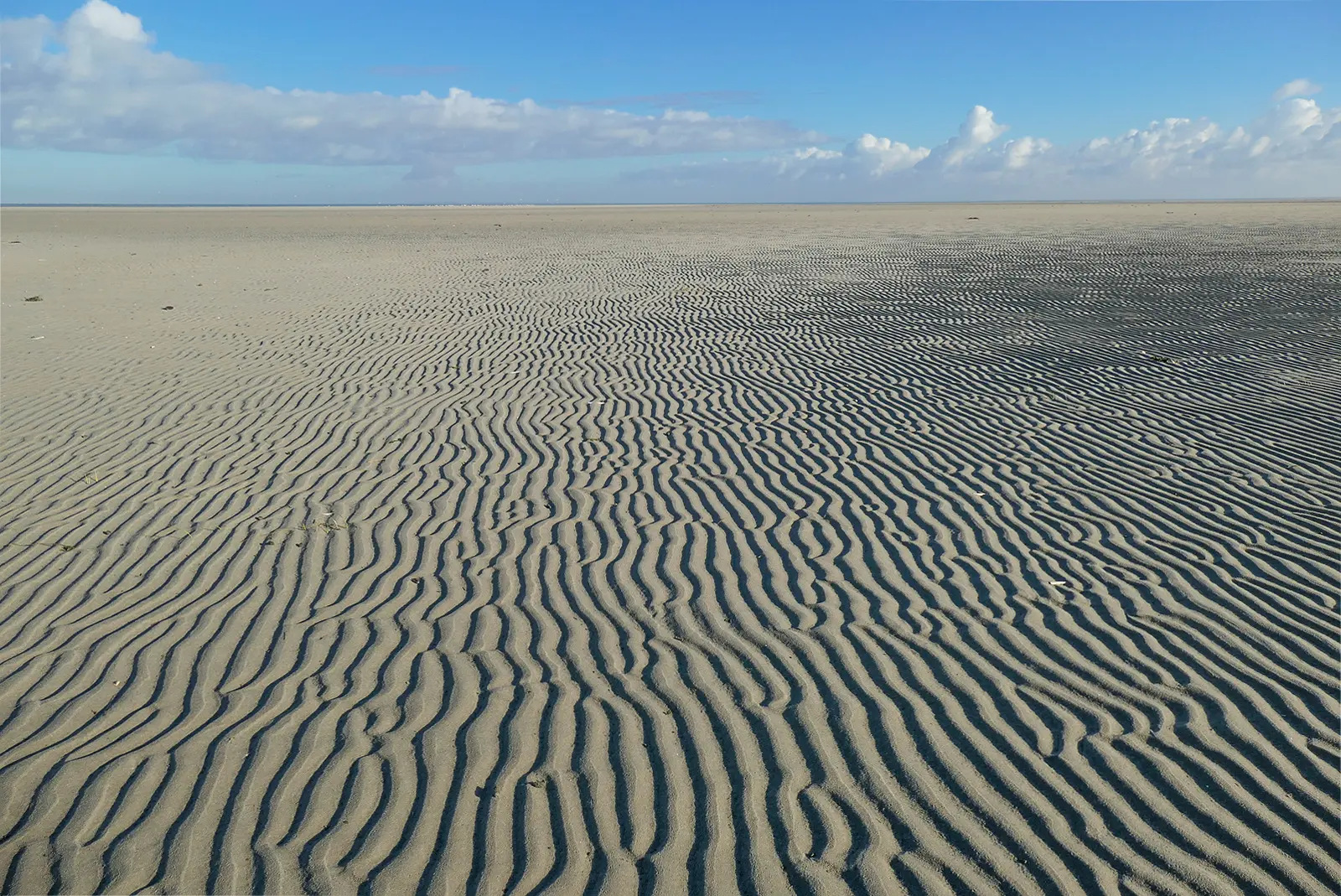 Ameland