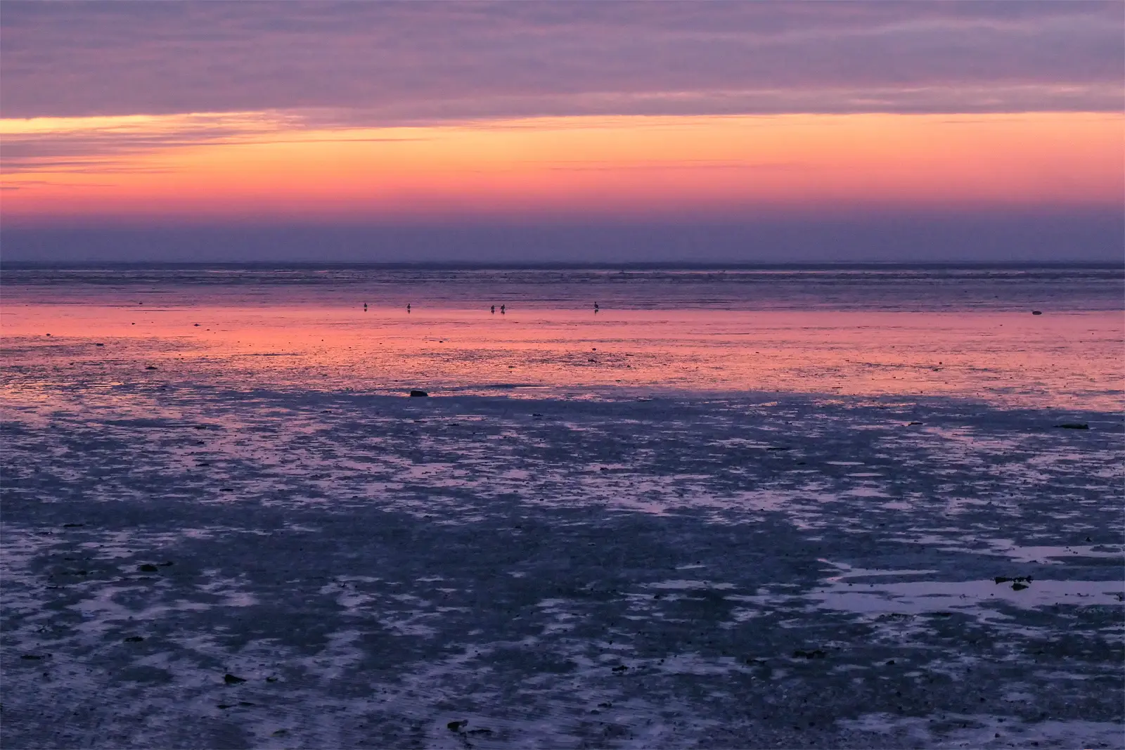 Ameland