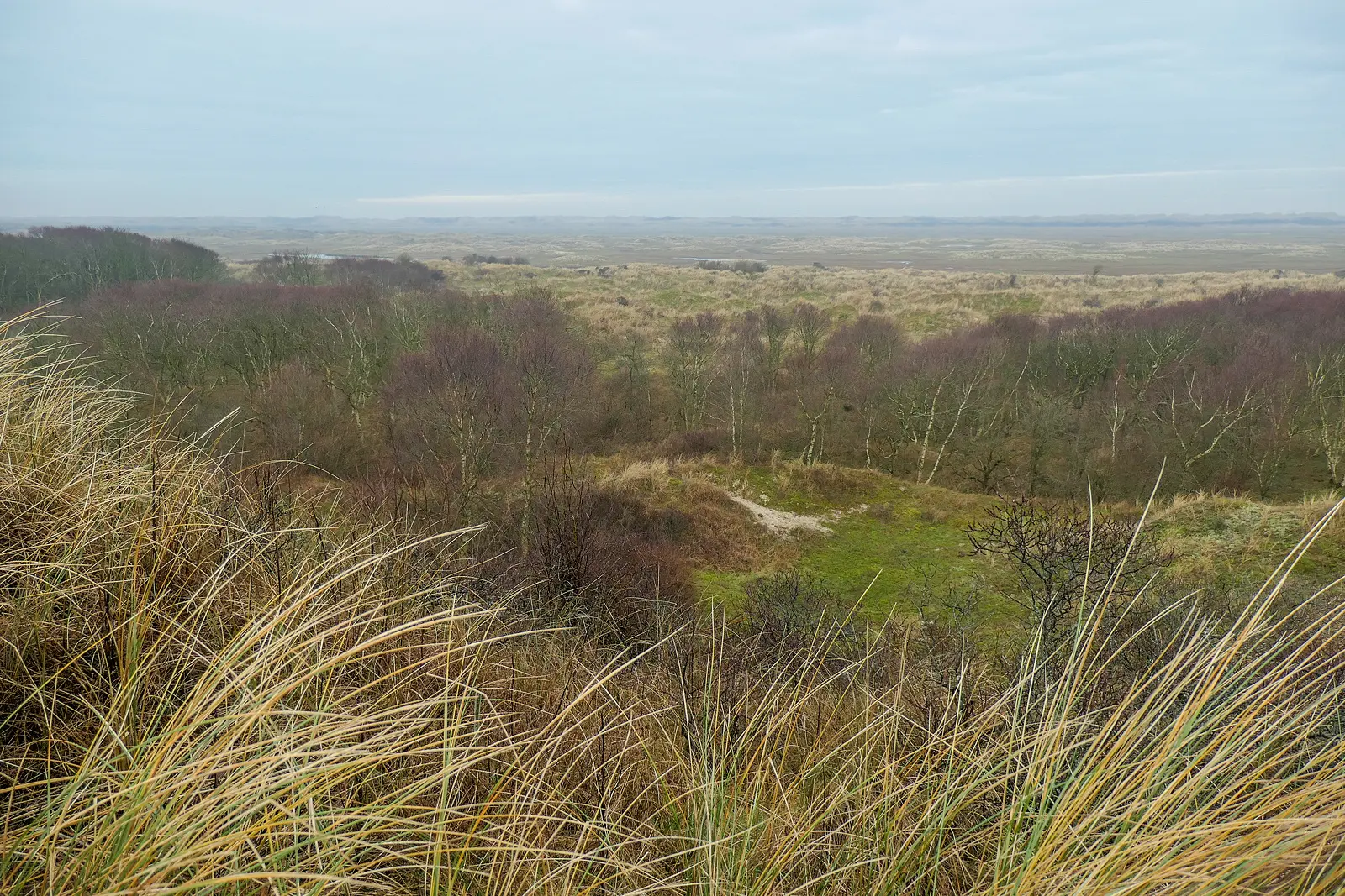 Ameland