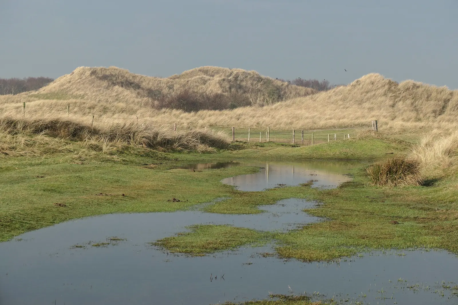Ameland