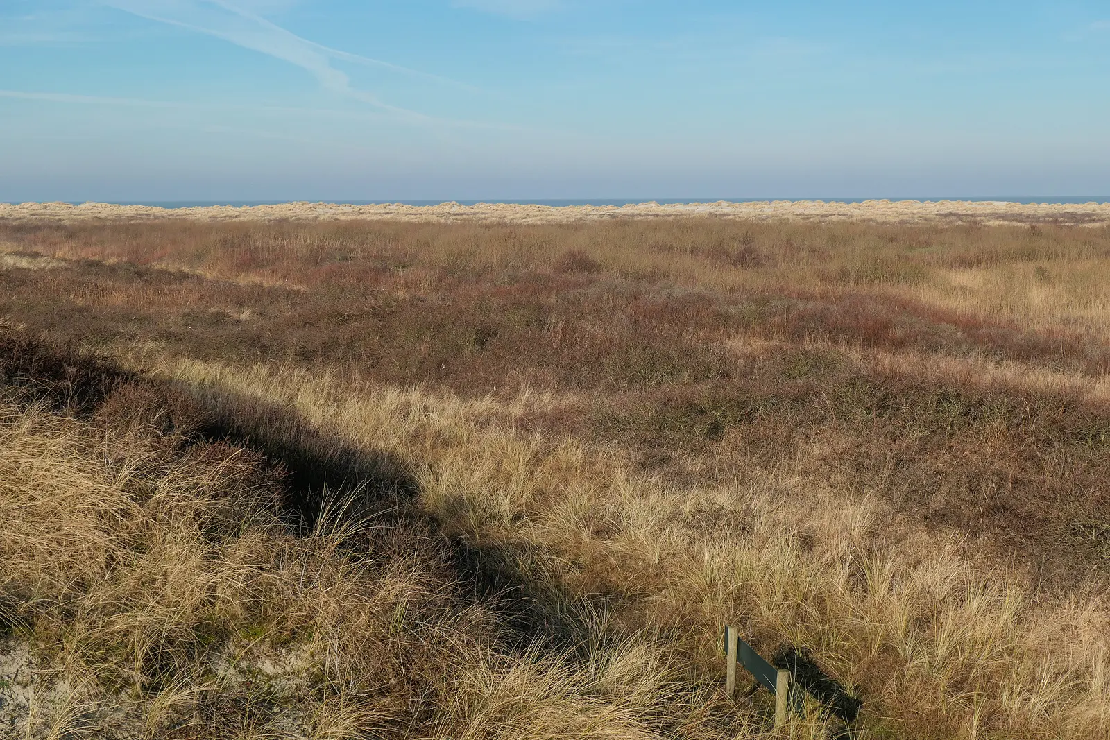 Ameland