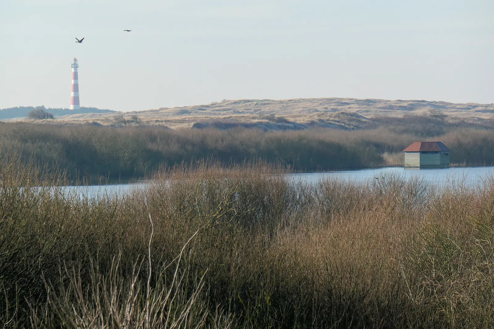 Ameland