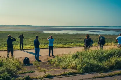 Vogels kijken in de Oostvaardersplassen. Van het Oostvaardersveld naar de Zeearend.