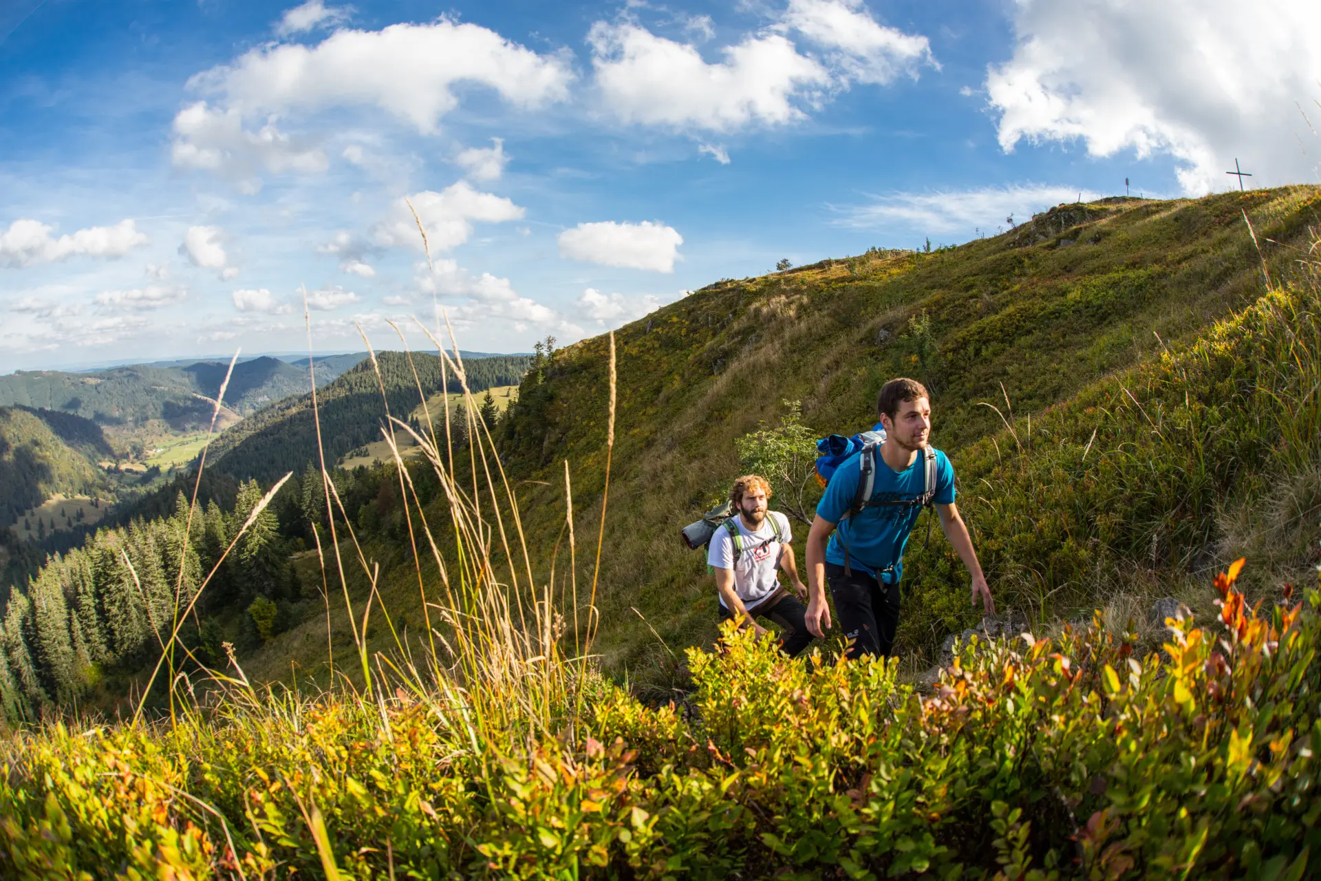 Wijn, bos en herfstkleuren: de mooiste wandelroutes in het Zwarte Woud