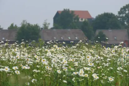 Drenthe is voor mij de ideale mix van rust, natuur en avontuur. 