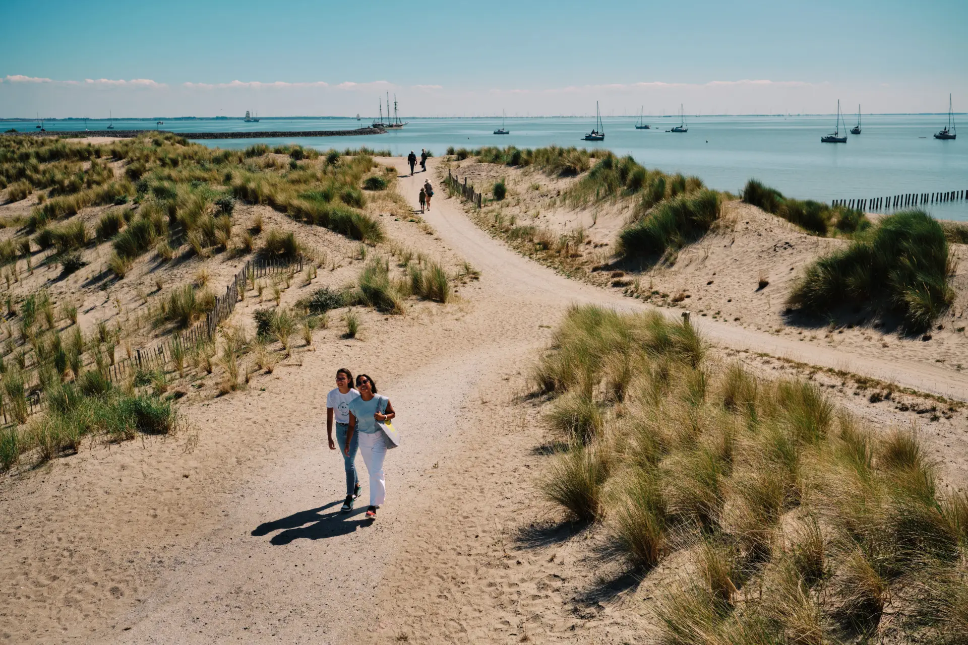 Nationaal Park Nieuw Land, unieke natuur in de voormalige Zuiderzee