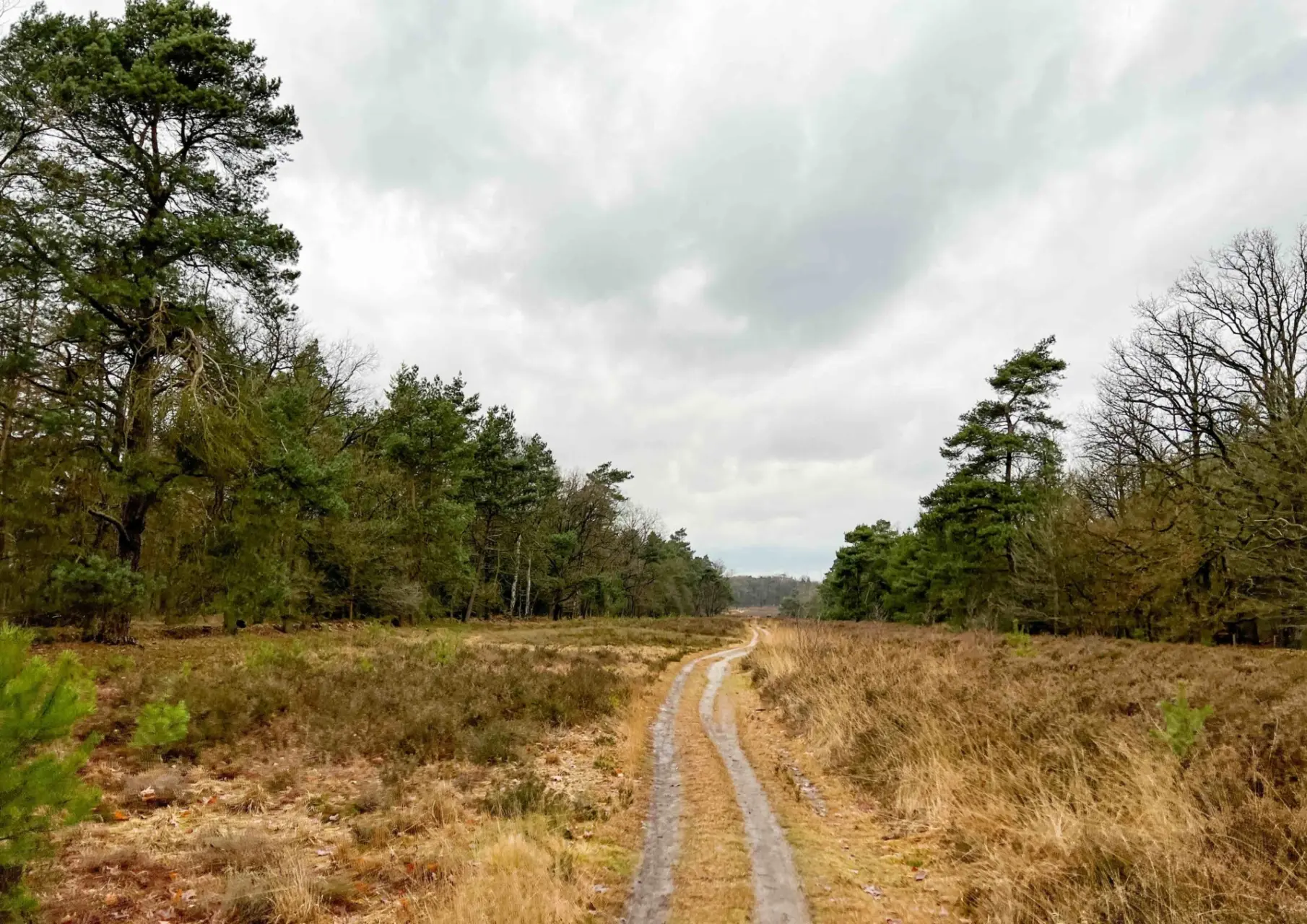 Ontdek Verborgen Schatten. Van Nederlandse paden naar onverwacht plezier.