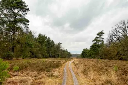Ontdek Verborgen Schatten. Van Nederlandse paden naar onverwacht plezier.