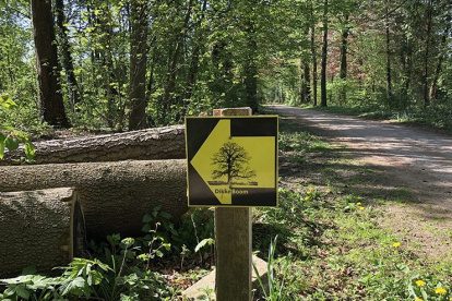 Joyce loopt het Pieterpad. Lees hier deel 2.