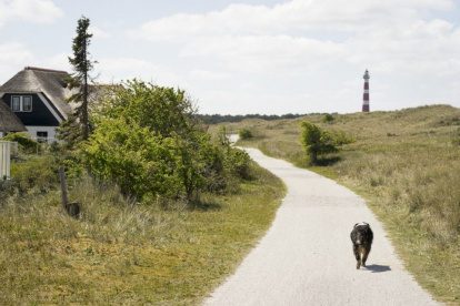 REISVERSLAG: Naar Ameland in Coronatijd