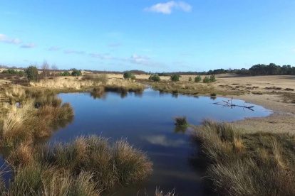 VIDEO | Struinen door het stuifzand van de Brabantse Sahara
