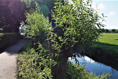 Wandelverhaal Brabant | Ga erop uit in het land van Ravenstein!