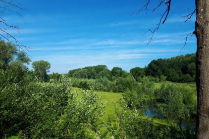 Wandelverhalen uit Limburg: Hoensbroek met de honden
