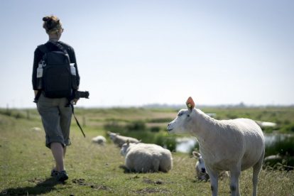 WANDELVERHALEN | Oer-Hollandse vergezichten in Eemland