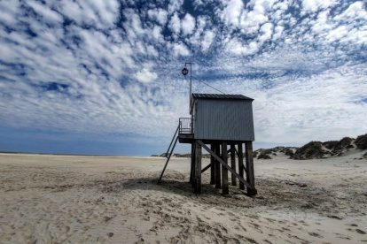 Hiken op Terschelling | Twee pittige wandelingen op de Wadden