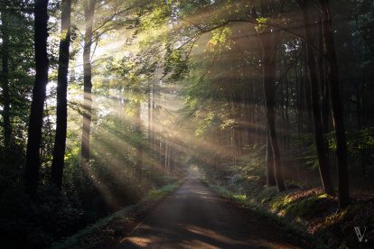 Vincent Croce: passie voor natuurfotografie dicht bij huis