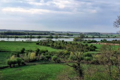 Tip voor de geoefende wandelaar: het klompenpad XL