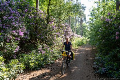 VisitBrabant toont met druktemeter de actuele drukte in natuurgebieden