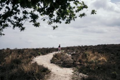 FOTOREPORTAGE: Struinen over de Veluwezoom