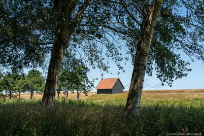 Wandelen en fietsen in de Polderbossen in de Wieringermeer