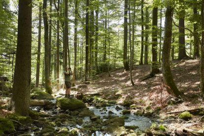 Met boswachter Kristin Biebl door het Beierse woud
