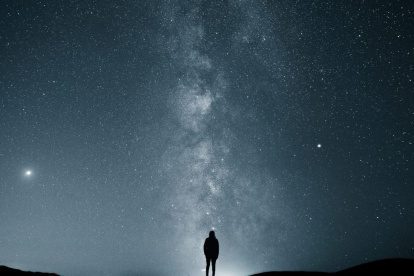 De ANWB gaat Into the Wild in Nederland