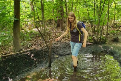 Roadtrip door Nederland: Provincie Limburg