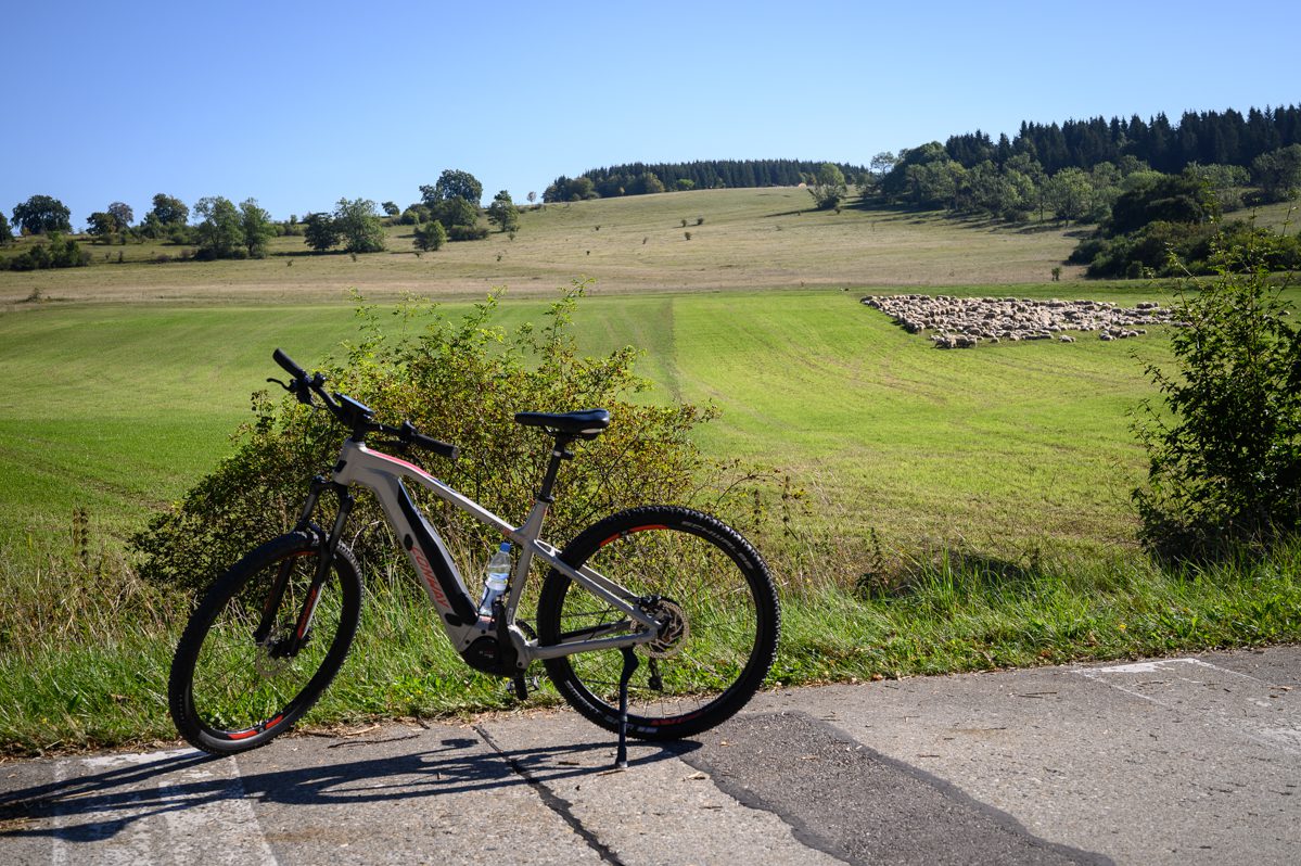 Mountainbike schapen Münsingen
