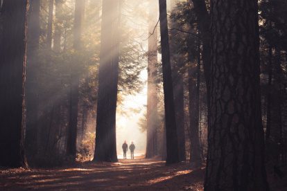 Haglöfs Spitz Jacket | robuust,  elastisch en ademend