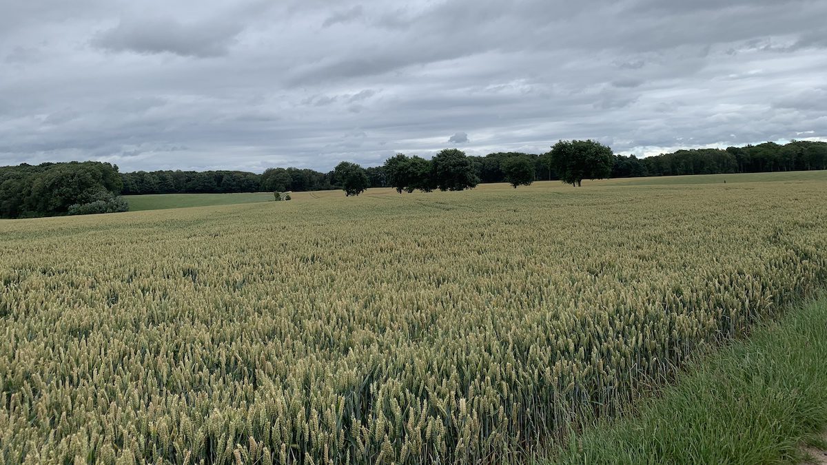eenvoud Zuid Limburg